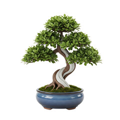 A meticulously sculpted miniature green bonsai tree with a gracefully twisted trunk and lush foliage in a deep blue ceramic pot against a stark black background