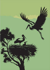 Stork Family Silhouette: Minimalist Vintage Illustration