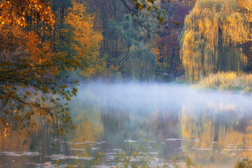 Misty Autumn Morning on a Tranquil Pond in Park, Pszczyna, Poland