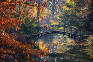 Golden Autumn Reflection with Bridge and Leaves, Poland