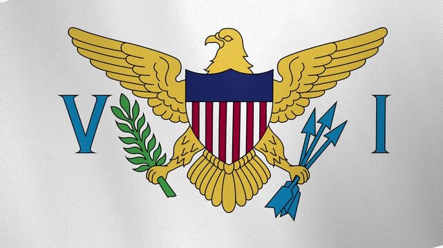 The flag of the United States Virgin Islands features a bald eagle clutching a torch and a fasces.