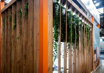 Modern interior design featuring warm wooden slatted panels with vibrant green trailing plants in hanging pots, creating a natural, inviting, and biophilic atmosphere. An orange accent adds a pop of c