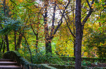 Autumn, forest, El Retiro Park, Madrid, Spain, Europe