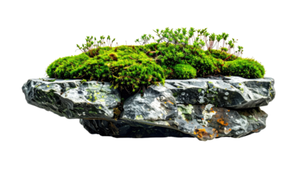 Mossy rock platform, showcasing bright green moss and gray stone with textures, on a black background
