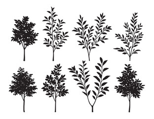 Fototapeta premium Hand-drawn tree and branch vector set in black ink sketch style, perfect for nature prints, botanical illustrations, or landscape design.