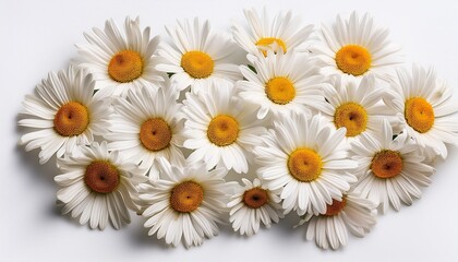 Obraz premium A Bunch Of White Daisies Are Scattered Across A White Background