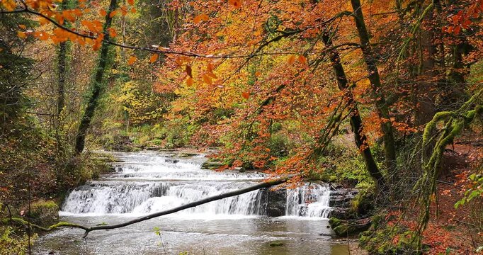 La rivi&egrave;re des cascades du H&eacute;risson en saison d'automne en France