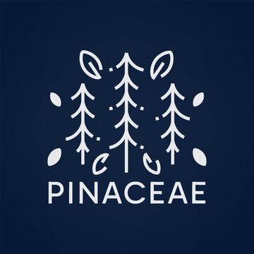 Pinaceae tree outdoor logo with elegant monoline style