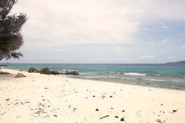 Tropical landscape of a deserted beach on La Digue Island, Seychelles. The turquoise waters of the Indian Ocean meet white sand and granite rock formations, creating a paradisiacal scene of calm and n