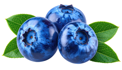 Three vibrant blueberries nestled among green leaves, isolated on black