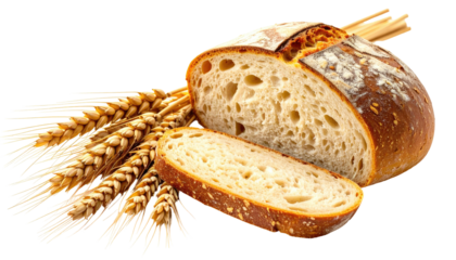 Crusty, artisan bread loaf cut open to show airy crumb, next to golden wheat stalks; on a dark backdrop