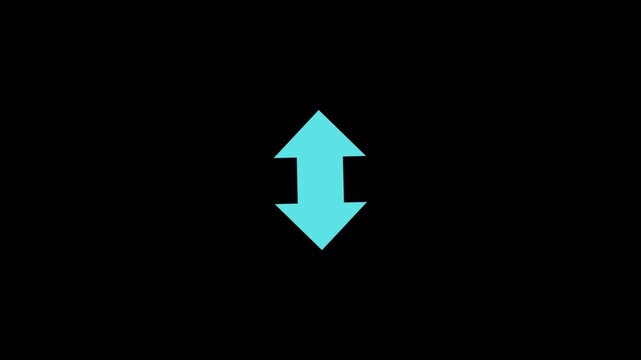 Rotating Double Arrow Icon with Seamless Loop