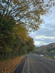 road in autumn