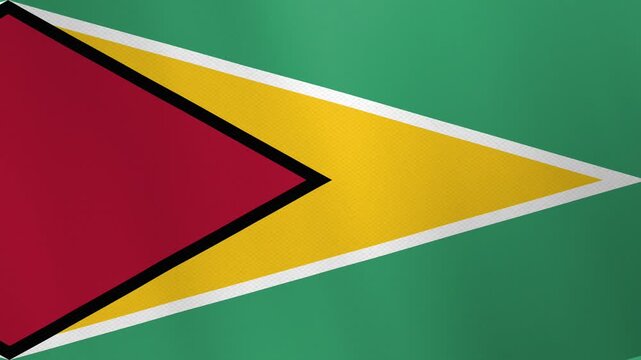 The flag of Guyana, featuring a red triangle bordered by black and white, superimposed on a yellow triangle, all set against a green background.