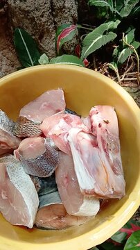 Fish Cuts Ready to Cook