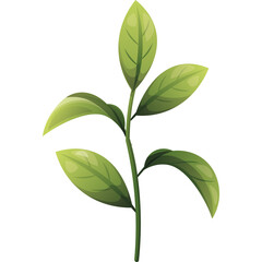 Delicate Green Plant Stem with Five Leaves Detailed Leaf Veins Subtle Lighting on White Background