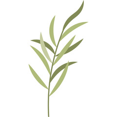 Delicate green sprigs with elongated leaves create a natural abstract design on a clean white background symbolizing growth and simplicity