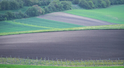 Agricultural landscape with vineyards, green fields and plowed land, Moravia, Czechia