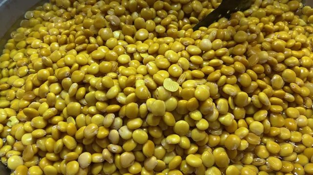 Lupini Beans, Traditional Middle-Eastern Snack - Lebanese Termos or Turmus, Egyptian Termes