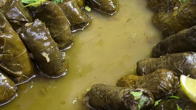 Ale Gefen, stuffed grape (vine) leaves is the Israeli Galilean signature dish. Alei gefen, Sarma Dolma with lemon