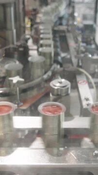 Tomato sauce cans on a conveyor belt in a canned food production facility
