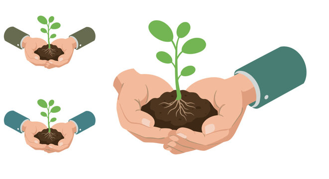 Hands holding seedling: symbol of growth and environmental conservation