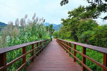 A wooden fence with reeds and trees