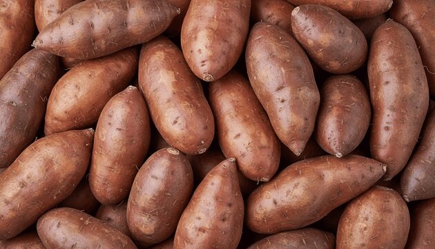 Fresh sweet potatoes background. Suitable for marketing or business purposes