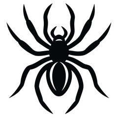spider vector icon