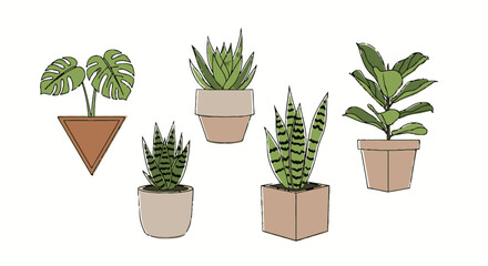 Fototapeta premium Collection of various potted houseplants with green leaves.