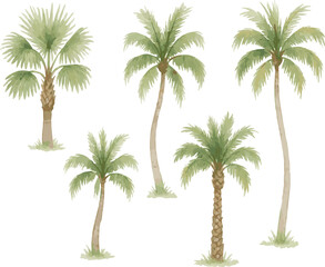 Collection of watercolor illustrated adroable palms