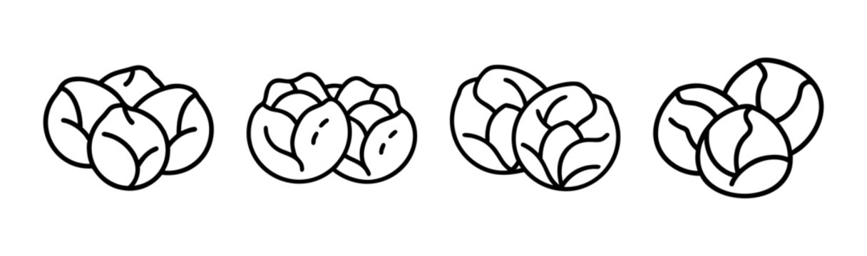 Vector illustration of fresh brussels sprouts healthy food icon