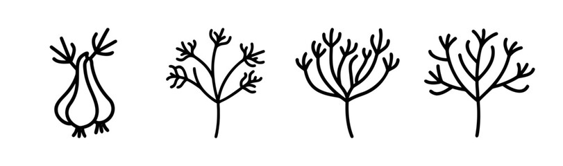 Dill branch vector illustration herb leaf green spice culinary ingredient food