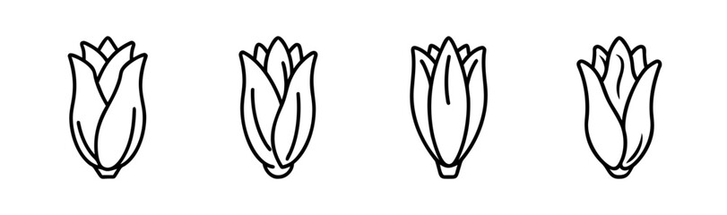 Vector illustration of a fresh endive leaf for healthy eating