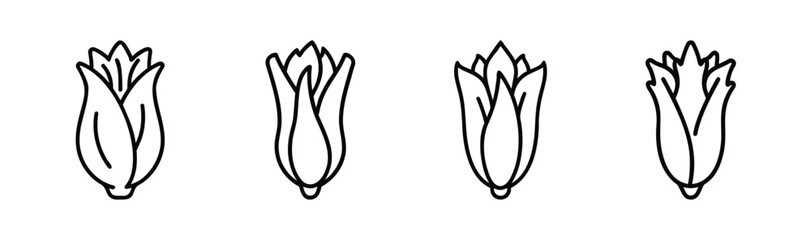 Endive plant vector illustration scalable scalable icon for design