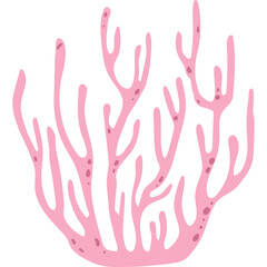 Hand Drawn Pink Coral Branch On Transparent Background Detailed Illustration Of Underwater Plant In Flat Doodle Style