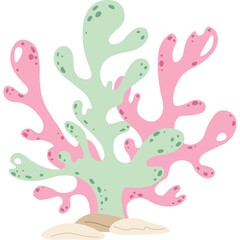 Hand Drawn Seaweed And Coral In Flat Doodle Style With Pink And Green Colors On A Transparent Background