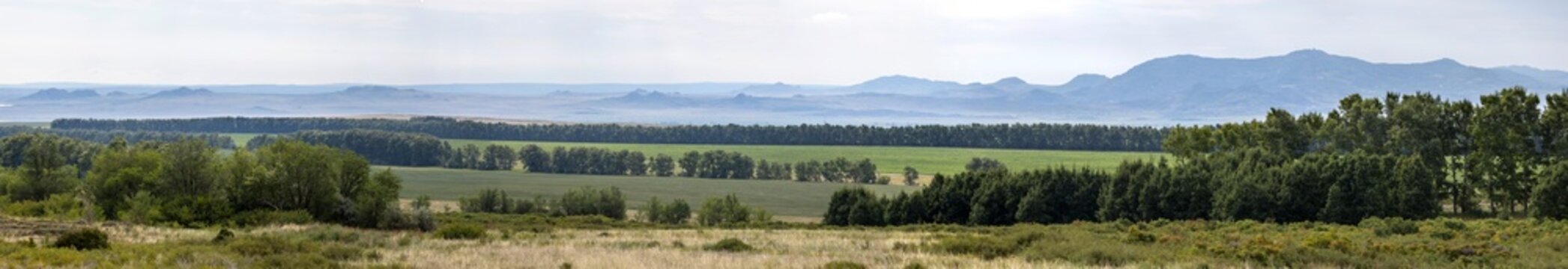 panoramic aerial view of hills, mountains and summer fields
