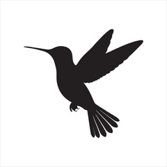 Hummingbird silhouette. Isolated hummingbird on white background illustration