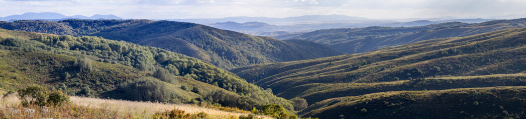 Fototapeta premium panorama of summer green hills and bald peaks 