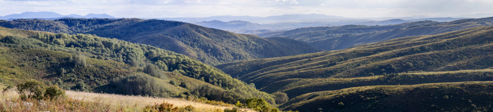 panorama of summer green hills and bald peaks
