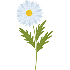 Illustration of a single white daisy flower with green stem and leaves isolated on a transparent background in a simple flat design style