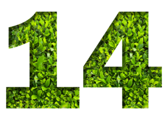 number 14 from green leaves  isolated on transparent background. suitable for birthday, anniversary and memorial day templates.