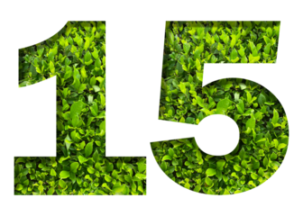 number 15 from green leaves  isolated on transparent background. suitable for birthday, anniversary and memorial day templates.