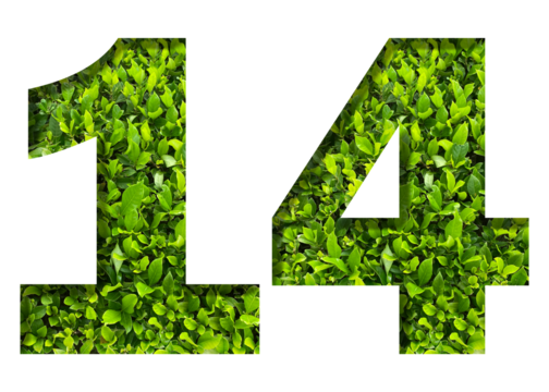 number 14 from green leaves isolated on transparent background. suitable for birthday, anniversary and memorial day templates.