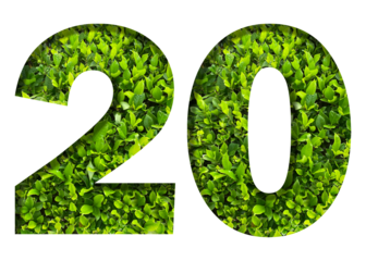 number 20 from green leaves  isolated on transparent background. suitable for birthday, anniversary and memorial day templates.