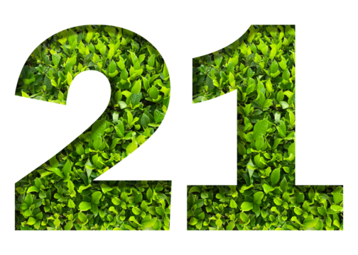 number 21 from green leaves  isolated on transparent background. suitable for birthday, anniversary and memorial day templates.