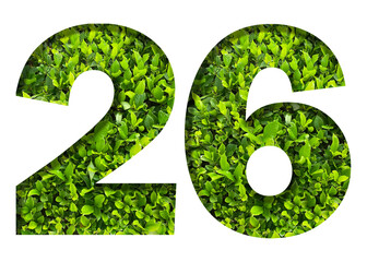 number 26 from green leaves  isolated on transparent background. suitable for birthday, anniversary and memorial day templates.