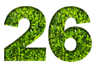 number 26 from green leaves  isolated on transparent background. suitable for birthday, anniversary and memorial day templates.