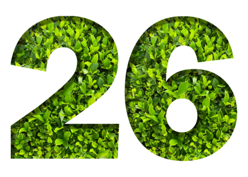 number 26 from green leaves  isolated on transparent background. suitable for birthday, anniversary and memorial day templates.
